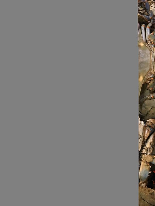 Soldes outillage pro de grandes marques